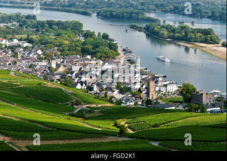 Rüdesheim am Rhein et de vignobles, la Vallée du Haut-Rhin moyen, Allemagne Banque D'Images