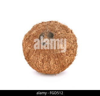 Noix de coco sur fond blanc Banque D'Images