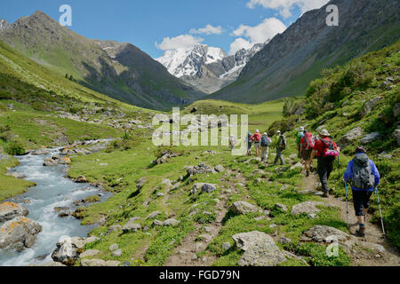 Groupe trekking au Kirghizistan. Banque D'Images