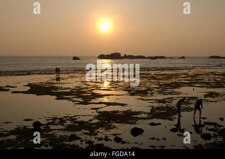 Les gens à pied dans la zone de marée basse au coucher du soleil, Hikkaduwa, au Sri Lanka, en Asie du Sud Banque D'Images