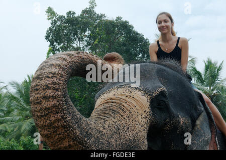 Femme se déplace sur un éléphant à travers la jungle - éléphant indien, ou de l'éléphant d'Asie l'éléphant d'Asie (Elephas maximus), Hikkaduwa Banque D'Images