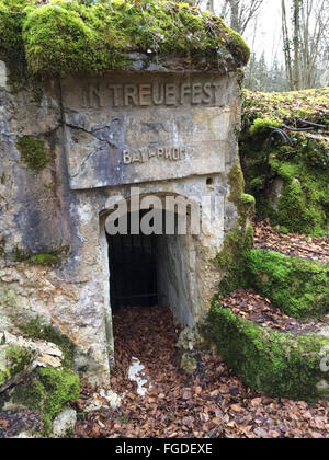 Verdun, France. Feb 20, 2014. Une inscription au dessus de l'entrée d'un bunker d'une tranchée allemande indique 'fidélité' inébranlable dans près de Apremont-la-Forêt près de Verdun, France, 20 février 2014. Photo : Gerd Roth/dpa/Alamy Live News Banque D'Images