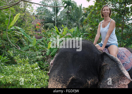 Femme se déplace sur un éléphant à travers la jungle - éléphant indien, ou de l'éléphant d'Asie l'éléphant d'Asie (Elephas maximus), Hikkaduwa Banque D'Images