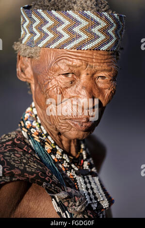 Portrait d'une vieille femme bushmen du désert du Kalahari. Banque D'Images