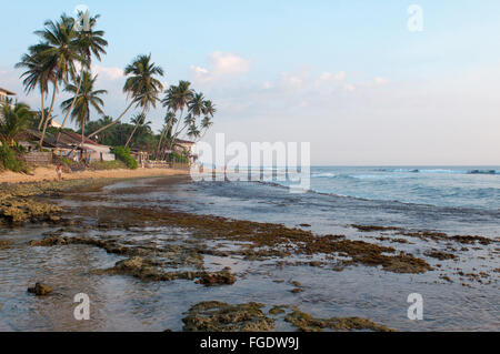 3 mars 2016 - Les récifs côtiers à marée basse, Hikkaduwa, au Sri Lanka, en Asie du Sud (crédit Image : © Andrey Nekrasov/ZUMA/ZUMAPRESS.com) fil Banque D'Images