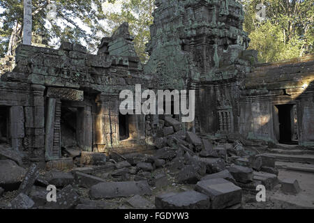 Une partie des ruines du Ta Phrom, Angkor Thom, près de Siem Reap, Cambodge, Asie. Banque D'Images