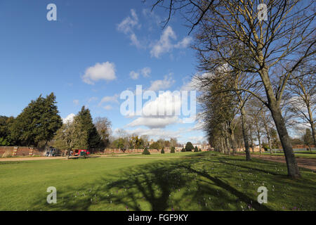 Hampton Court, SW London, England, UK. 19 février 2016. C'était un matin ensoleillé lumineux à Hampton Court dans le sud ouest de Londres, avec un ciel bleu et des nuages dans les jardins du palais Crédit : Julia Gavin UK/Alamy Live News Banque D'Images