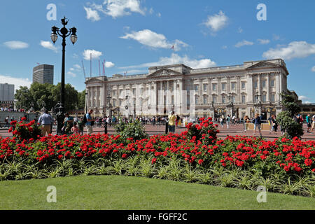 De belles fleurs dans les jardins de la Reine devant le palais de Buckingham, London, UK. Banque D'Images