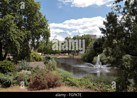 La vue depuis le haut de l'Auberge Le Parc de l'autre côté de St James's Park vers le London Eye, London, UK. Banque D'Images