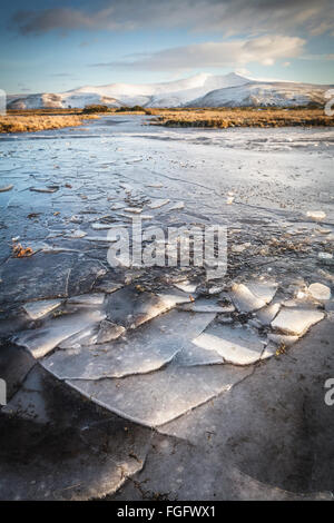 Un étang gelé sur Mynydd commun Illtud Brecon Beacons National Park en hiver. Banque D'Images