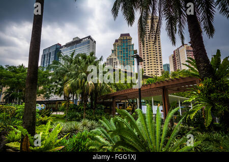 Jardin et gratte-ciel au parc de Greenbelt, dans Ayala, Makati, Metro Manila, Philippines. Banque D'Images