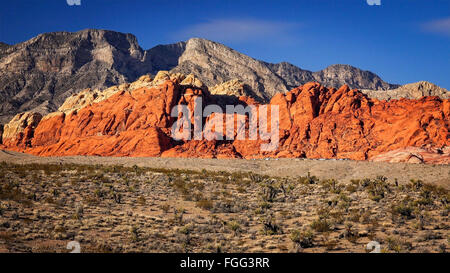 Le Red Rock Canyon National Conservation Area près de Las Vegas, Nevada Banque D'Images