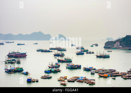 Bateaux dans le port sur l'Ile de Cat Ba, au Vietnam Banque D'Images