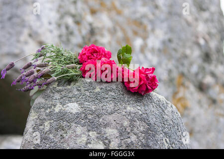 Offrir des fleurs sur le toit de l'un de grosses pierres à Stonehenge, Solstice d'été lever du soleil,juin Wiltshire, Angleterre, Banque D'Images