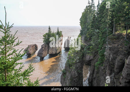 Pot de Fleurs Fundy Rocks Banque D'Images