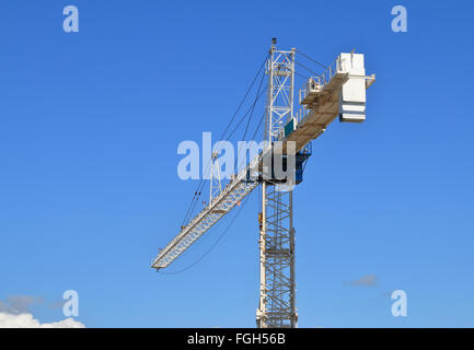 Grue blanche contre le ciel bleu Banque D'Images