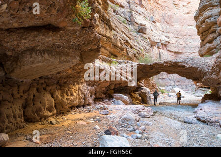 Rafting Grand Canyon Banque D'Images