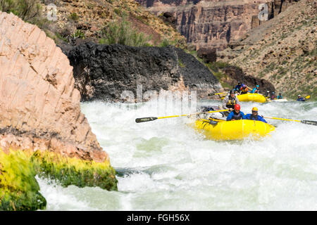 Rafting Grand Canyon Banque D'Images