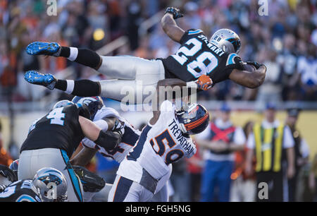Les PANTHERS DE L'AIR : 7 février 2016 - Santa Clara, Californie, É.-U. - Caroline panthère d'utiliser de nouveau Jonathan Stewart (28) monte sur Denver Broncos secondeur intérieur DANNY TREVATHAN (59) pour un touché au deuxième trimestre de Super Bowl 50 à Levi's Stadium. (Crédit Image : © Paul Kitagaki Jr/Sacramento Bee via Zuma sur le fil) Banque D'Images