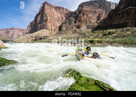 Rafting Grand Canyon Banque D'Images