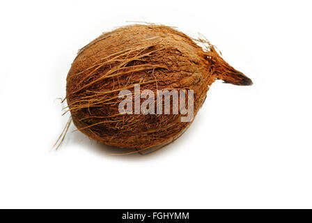 Tout organique Tropical Coconut Over White Banque D'Images