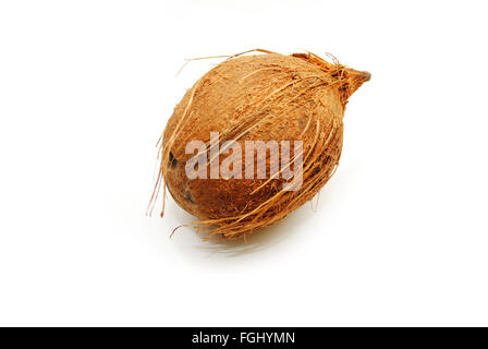 Ensemble de la noix de coco fraîche Fruit isolated on White Banque D'Images