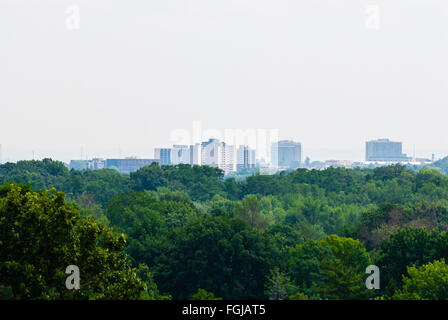 Haut de feuillus forêt luxuriante se terminant à immeubles à appartements de distance contre ciel brumeux blanc. Banque D'Images