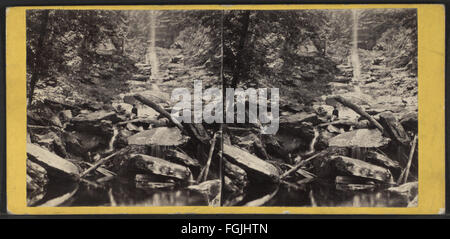 Cette vue stéréoscopique de E. & H.T. Anthony montre le Bastion Fall à Kauterskill Glen, près de la maison Laurel, capturant la cascade pittoresque et le paysage. Banque D'Images