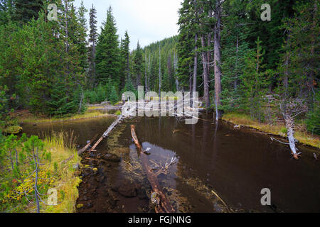 Le Lac Devils est une randonnée très populaire et le centre de l'Oregon pour destination de randonnée les randonneurs désireux d'explorer la nature sauvage. Banque D'Images