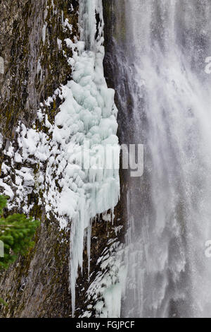 Salt Creek Falls sur col Willamette dans l'Oregon près de Eugene pendant l'hiver avec de la glace et l'eau gelée derrière les cristaux waterf Banque D'Images