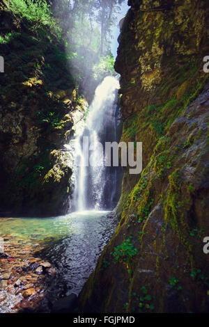 Pinard Falls est une grande chute d'eau dans la forêt nationale d'Umpqua situé près de Cottage Grove de l'Oregon. Banque D'Images