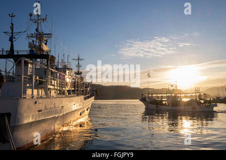 Bateaux de pêche sur le port de Kesennuma, dans la préfecture de Miyagi, au Japon, qui a été détruit au cours de la 2011 tremblement de terre, tsunami Banque D'Images