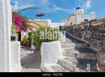 Santorin - Le look superbe avec les fleurs et maison decored généralement peu de blanc-bleu church à Oia. Banque D'Images