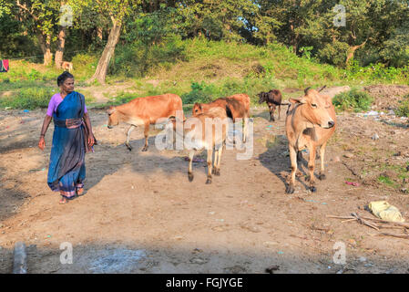La vie rurale dans Thekkady, Periyar, Kerala, Inde du Sud Banque D'Images