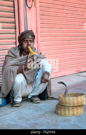 Charmeur de serpent, Jaipur, Rajasthan, Inde Banque D'Images