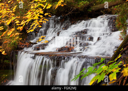 Wagner Falls à Munising Michigan est entourée de feuillage de l'automne près de Pictured Rocks National Lakeshore Banque D'Images