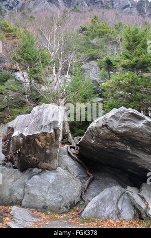 Smugglers' Notch rocks, Vermont, Etats-Unis Banque D'Images