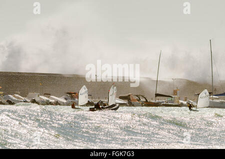 Fuengirola, Malaga, Andalousie, espagne. 20 Février, 2016. voiliers d'école de voile et de surf près de port. Le Code orange est donné à l'état de la mer et du vent. Plus de mur de protection ondes smash de port. Credit : Perry Van Munster/ Alamy Live News Banque D'Images