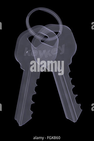 Xray de porte clés Banque D'Images