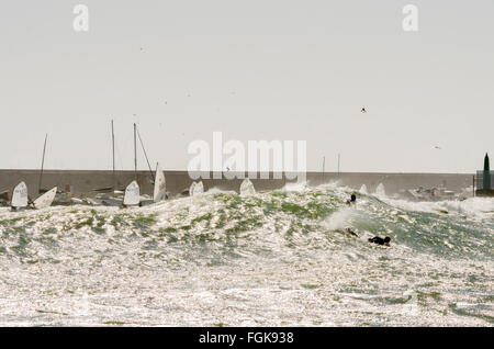 Fuengirola, Malaga, Andalousie, espagne. 20 Février, 2016. voiliers d'école de voile et de surf près de port. Le Code orange est donné à l'état de la mer et du vent. Credit : Perry Van Munster/ Alamy Live News Banque D'Images