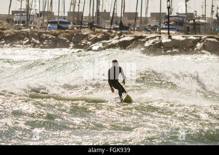 Fuengirola, Malaga, Andalousie, espagne. 20 Février, 2016. Le Code orange est donnée pour de hautes vagues et le vent. Surfer tire parti des hautes vagues. Credit : Perry Van Munster/ Alamy Live News Banque D'Images