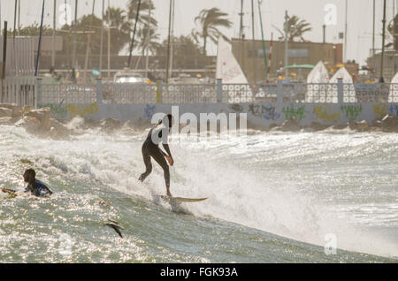 Fuengirola, Malaga, Andalousie, espagne. 20 Février, 2016. Le Code orange est donnée pour de hautes vagues et le vent. Surfer tire parti des hautes vagues. Credit : Perry Van Munster/ Alamy Live News Banque D'Images