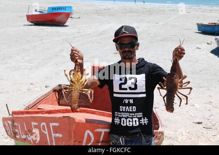 La langouste prises à Paternoster, Western Cape, Afrique du Sud Banque D'Images