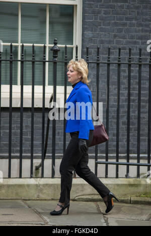 Downing Street, London, UK. 20 Février, 2016. Anna Soubry MP arrive à no10. Les ministres arrivent pour une réunion du cabinet à Samedi n° 10 d'être informés sur les négociations de l'UE. Credit : Malcolm Park editorial/Alamy Live News Banque D'Images