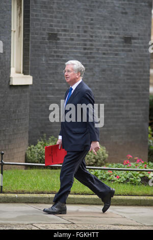 Downing Street, London, UK. 20 Février, 2016. Le Secrétaire à la défense, Michael Fallon arrive à no10. Les ministres arrivent pour une réunion du cabinet à Samedi n° 10 d'être informés sur les négociations de l'UE. En octobre 2017, Sir Michael Fallon démissionne comme secrétaire de la Défense. Credit : Malcolm Park/Alamy Live News. Banque D'Images