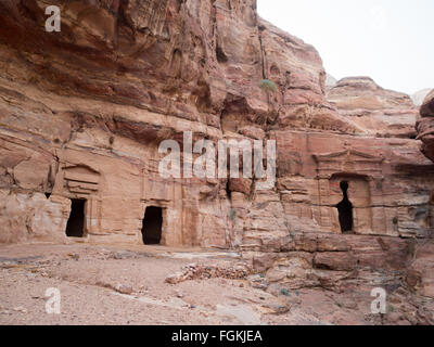 Petra's Lion tombe Banque D'Images