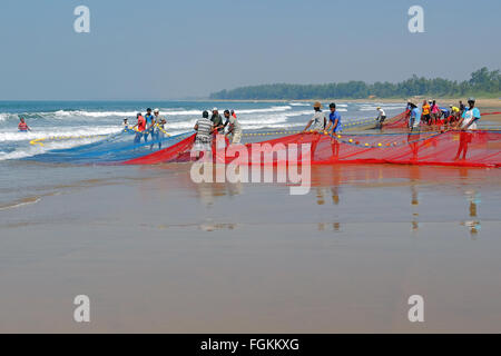 Transport de pêcheurs dans les filets sur une plage dans le Maharashtra, Inde du Sud Banque D'Images