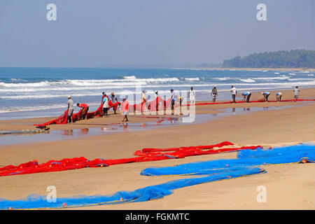 Transport de pêcheurs dans les filets sur une plage dans le Maharashtra, Inde du Sud Banque D'Images