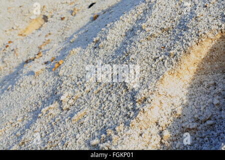 Le sel dans les salines par l'évaporation de l'eau-sel mounds à côté de la Banque mondiale sur la W.S.section du c.100 km2 Lake. Afrera-Danakil Banque D'Images