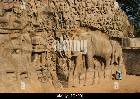 Une seule femme dans un sari bleu inclinées sur balayant le sol avec un balai balai par un monument de sculpture murale d'un éléphant en Inde Banque D'Images